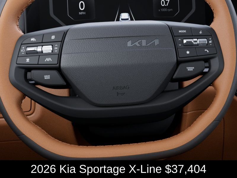 New 2026 Panthera Metal Matte Kia X-Line image 23