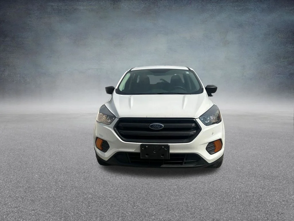 Used 2019 White Ford S image 5
