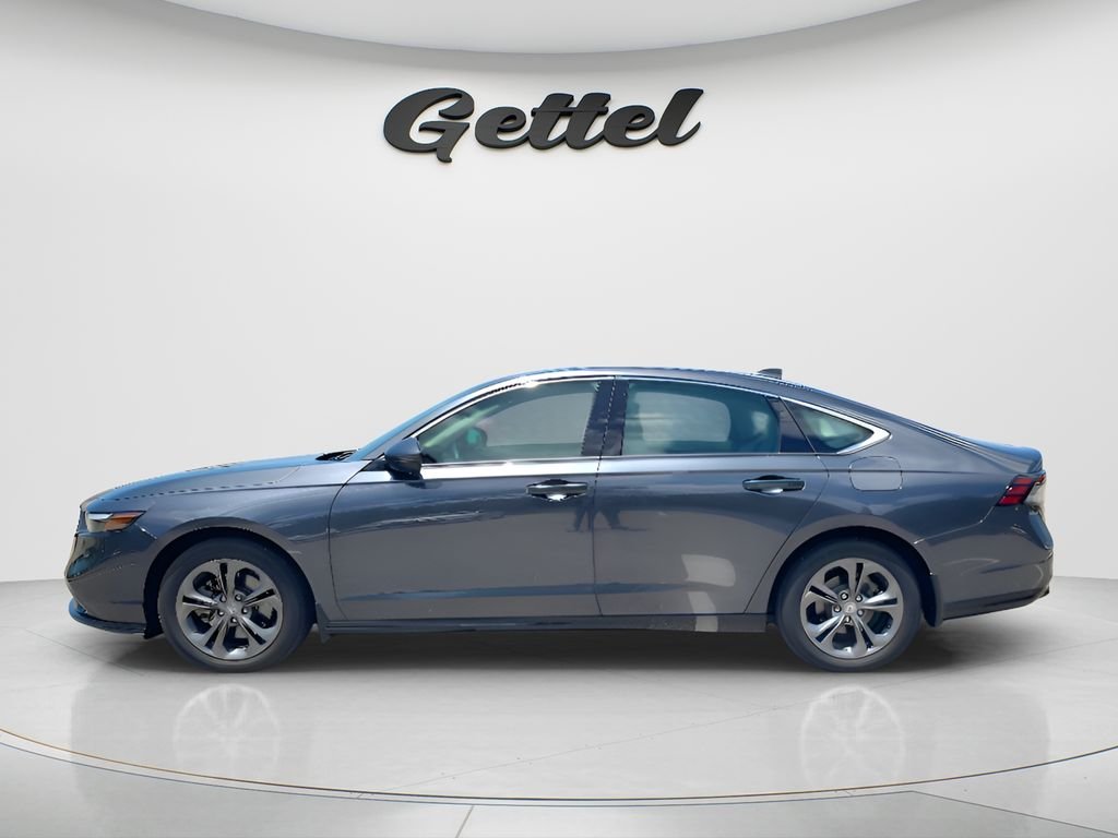Used 2025 Gray Honda EX-L image 8