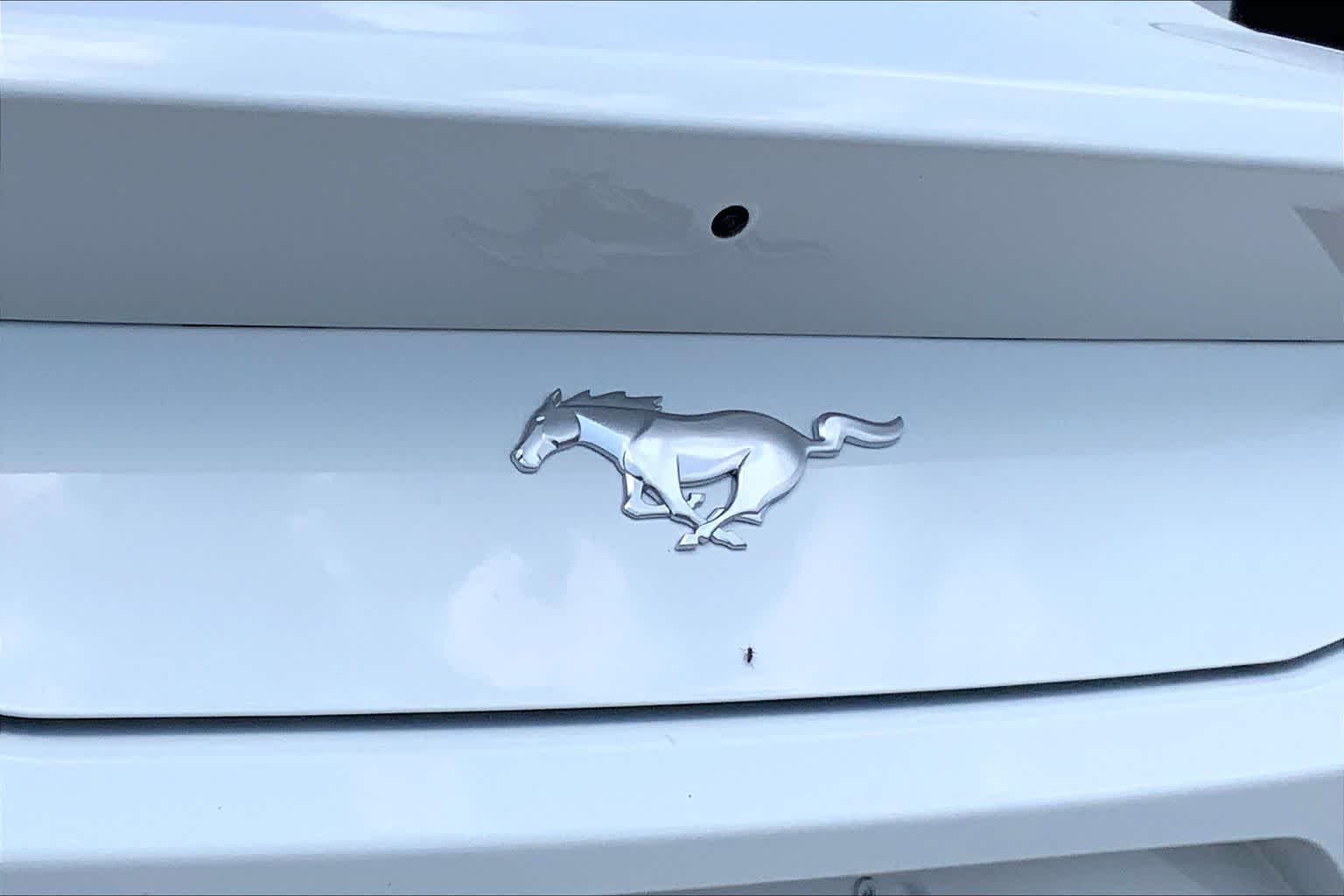 New 2026 Oxford White Ford EcoBoost® Fastback image 14