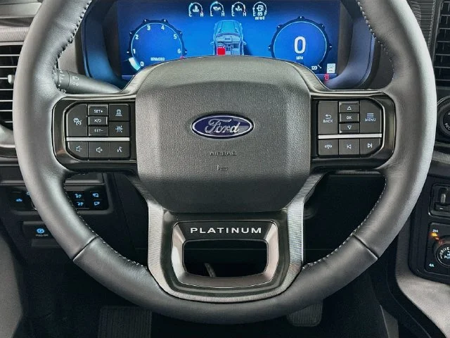 New 2026 Blue Ford Platinum image 14