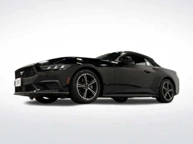 Used 2024 Black Ford EcoBoost Premium image 4