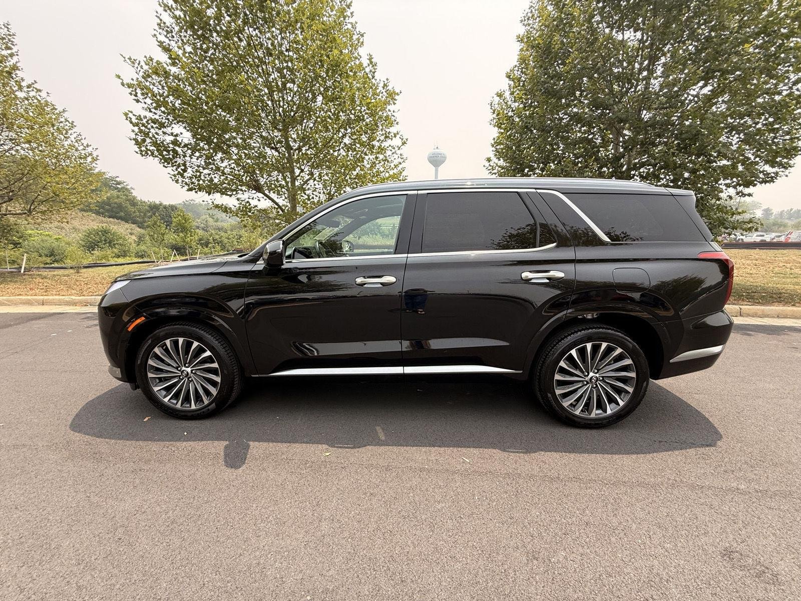 2024 Hyundai Palisade Calligraphy - Photo 8