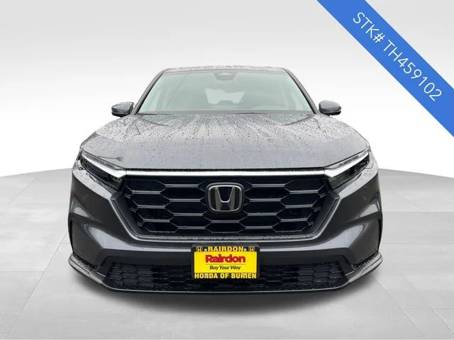 New 2026 Meteorite Gray Metallic Honda LX image 2