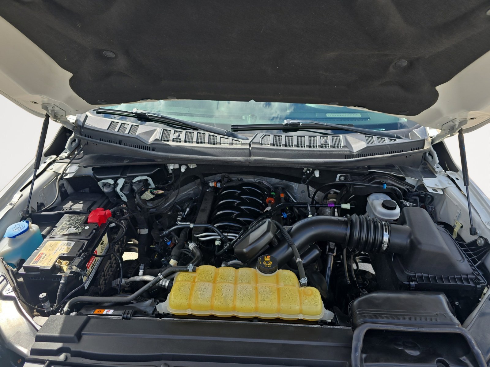 Used 2019 Oxford White Ford XLT image 25
