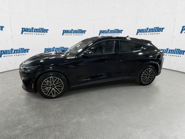 New 2026 Shadow Black Ford Premium image 6