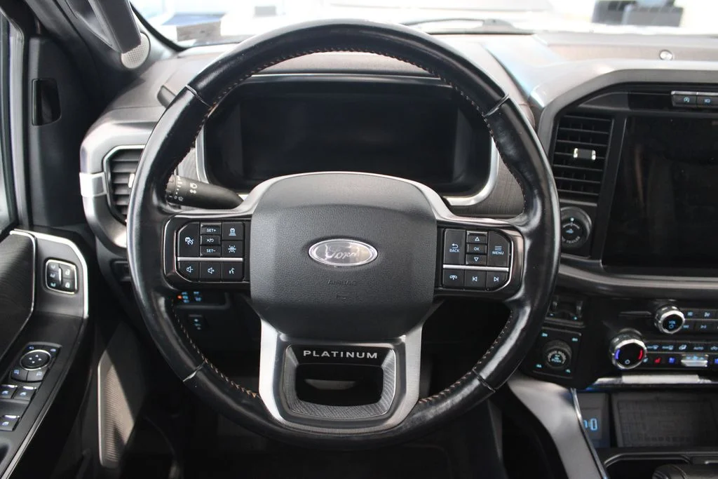 Used 2021 Silver Ford Platinum image 25