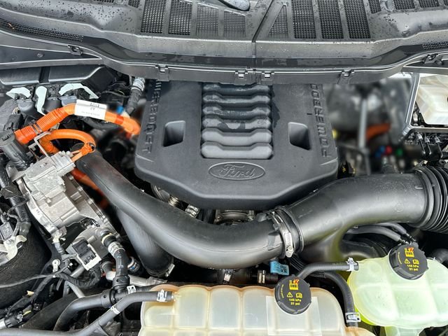 Used 2023 White Ford Platinum image 29