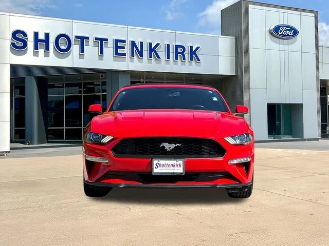 Used 2019 Red Ford EcoBoost image 2