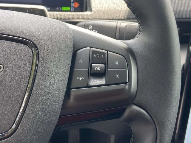 New 2026 Gray Ford Premium image 19
