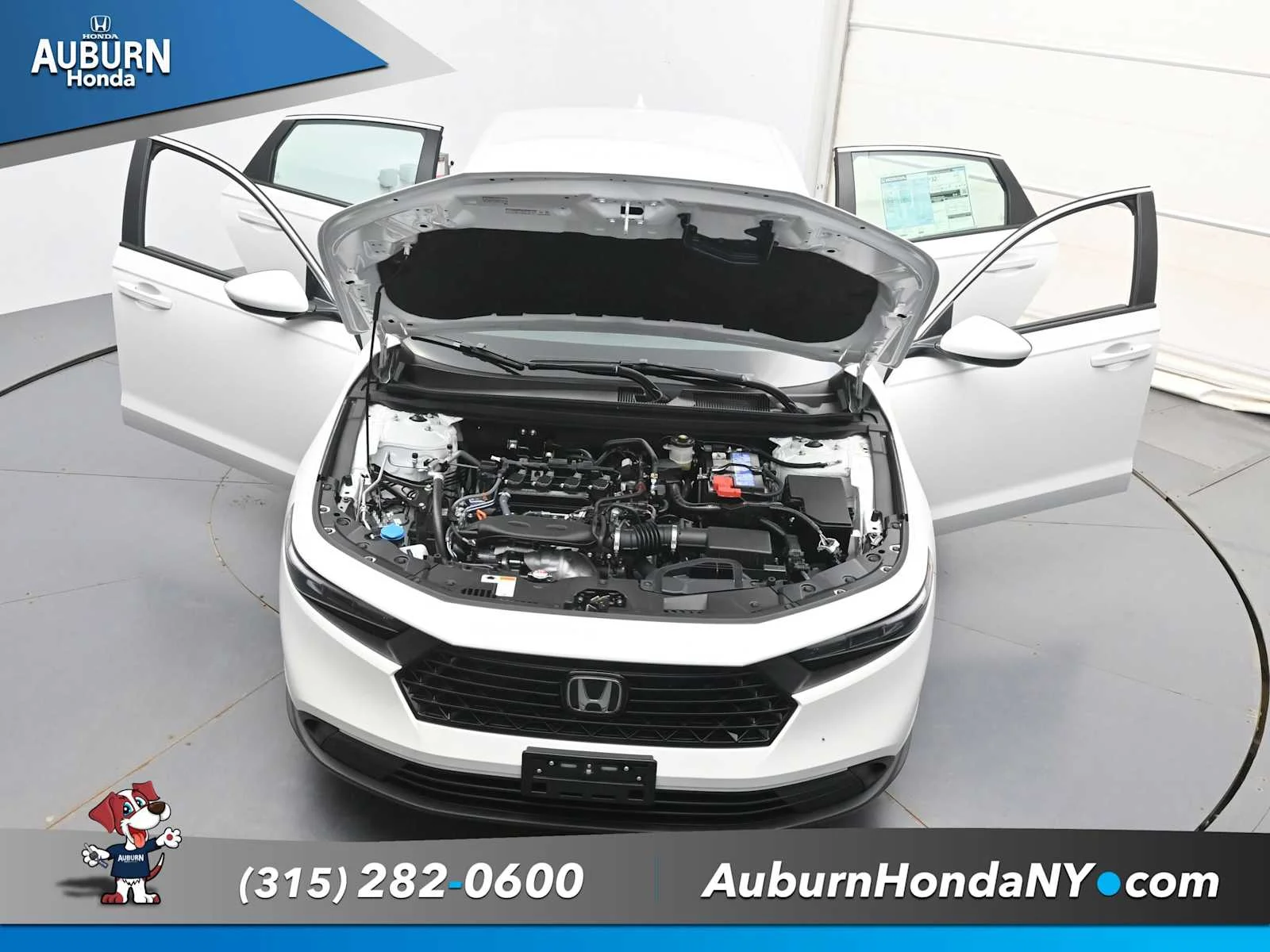 New 2026 Platinum White Pearl Honda LX image 35