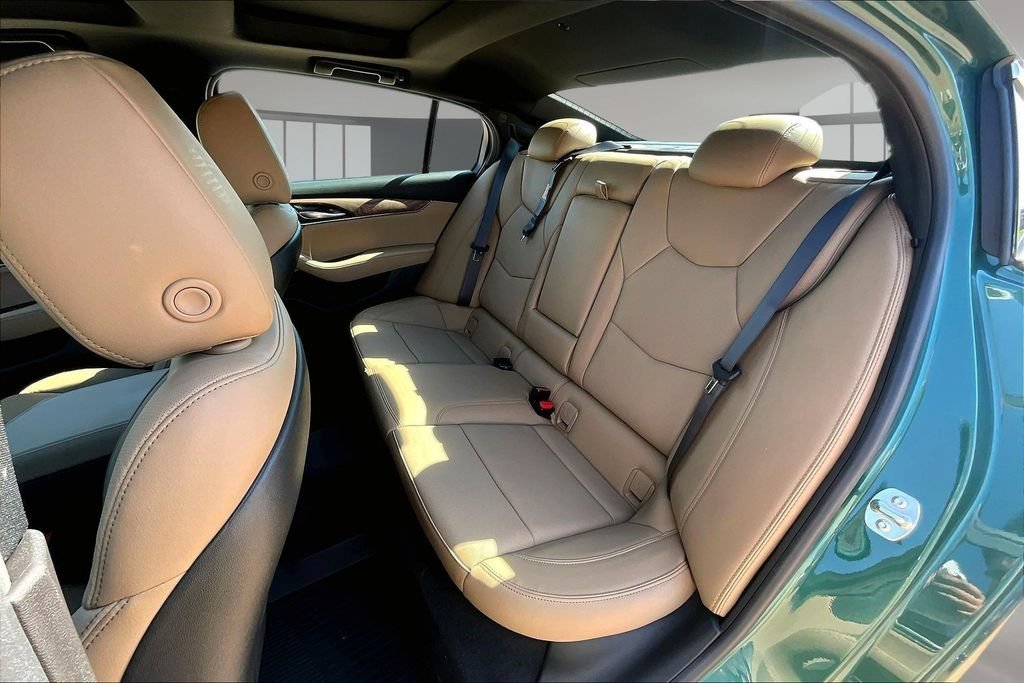 New 2026 Typhoon Metallic Cadillac Premium Luxury image 10