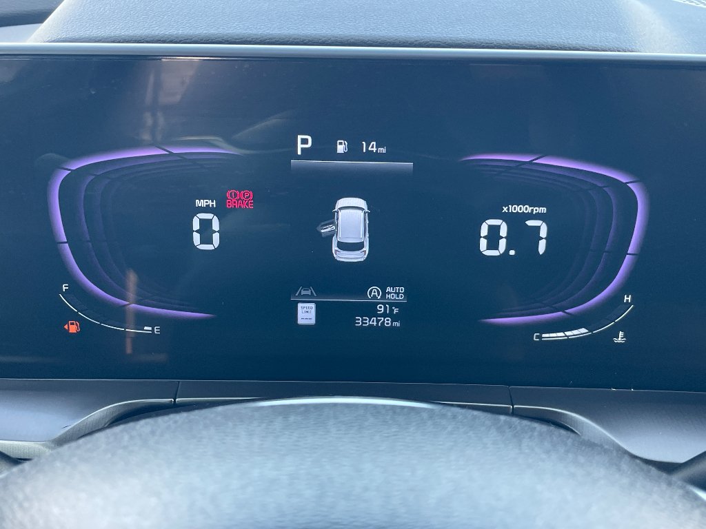 Used 2025 Panthera Metal Kia S image 4