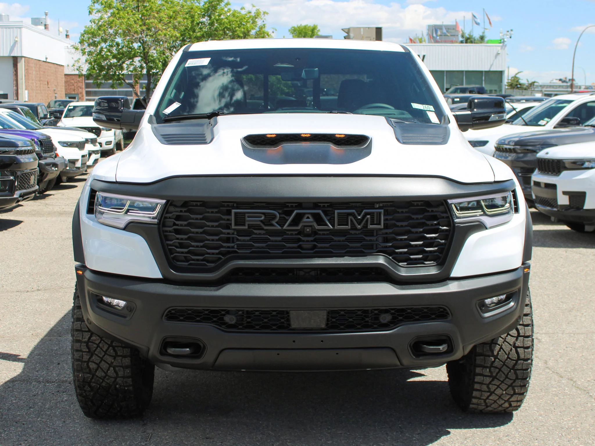 New 2026 White RAM RHO* image 8