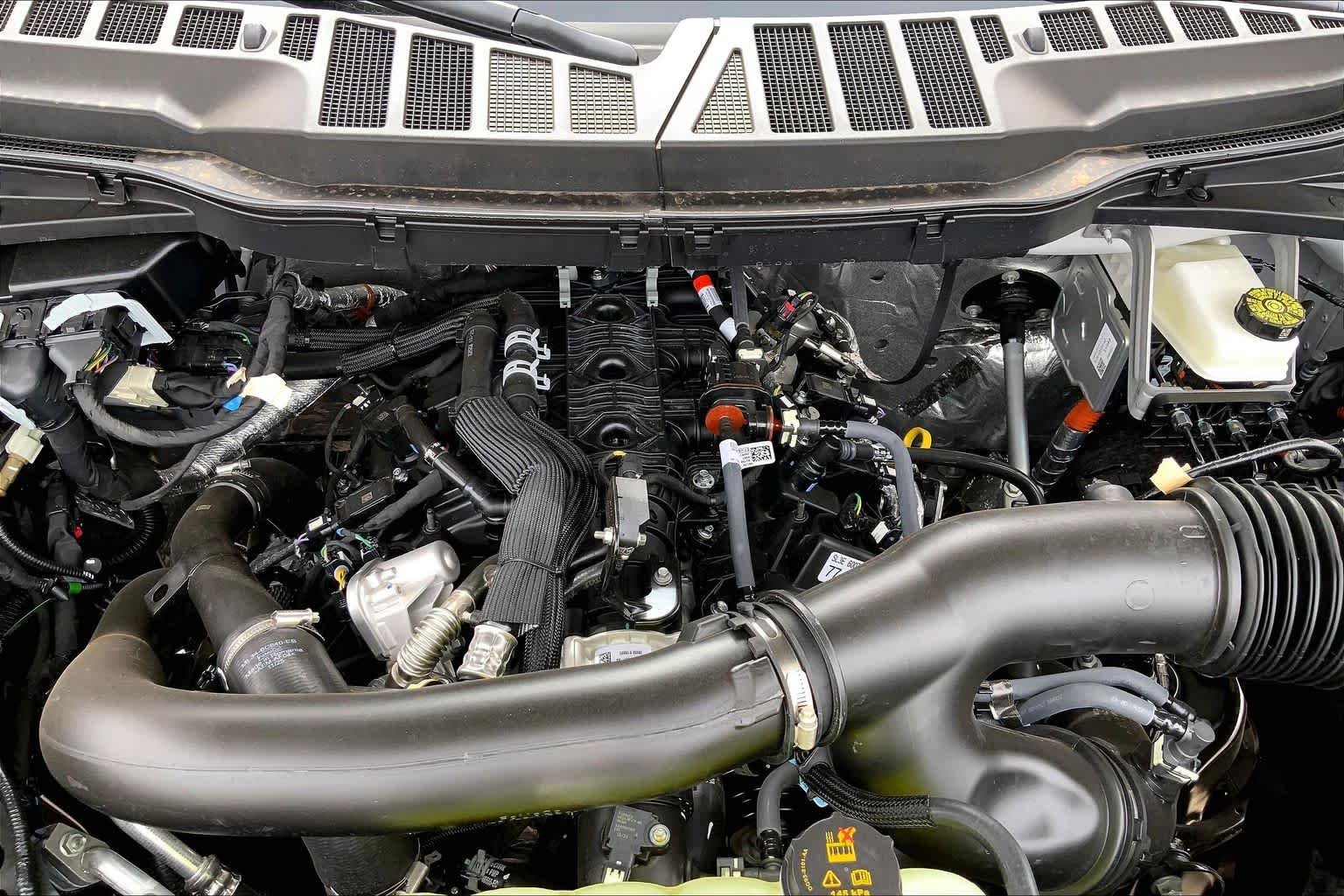New 2026 Oxford White Ford XLT image 17