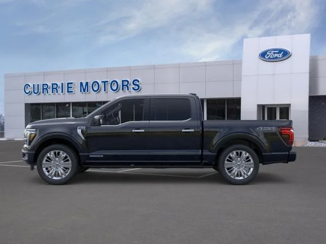 New 2026 Agate Black Metallic Ford Platinum image 3