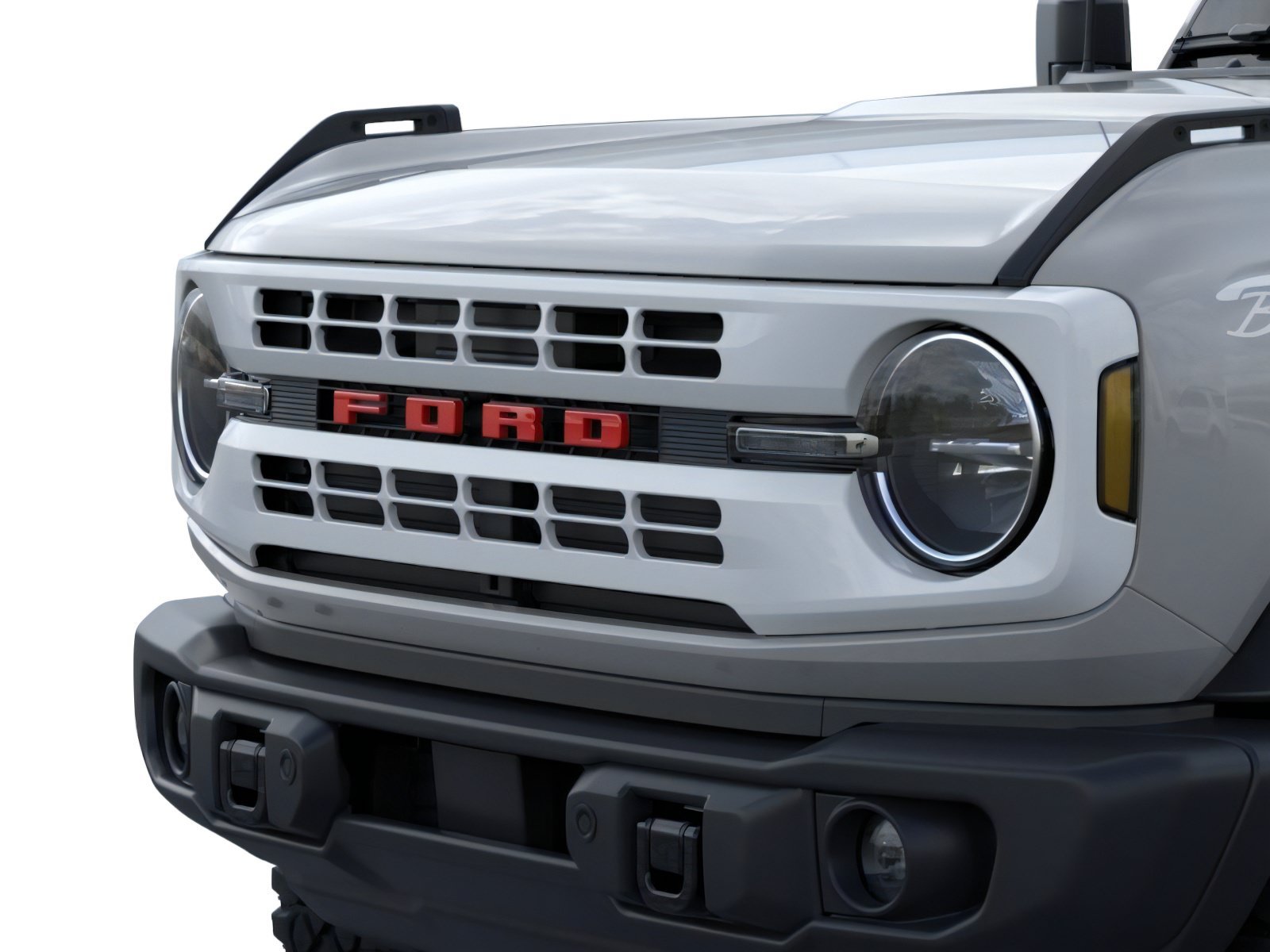 New 2026 Avalanche Gray Ford Heritage Edition image 19
