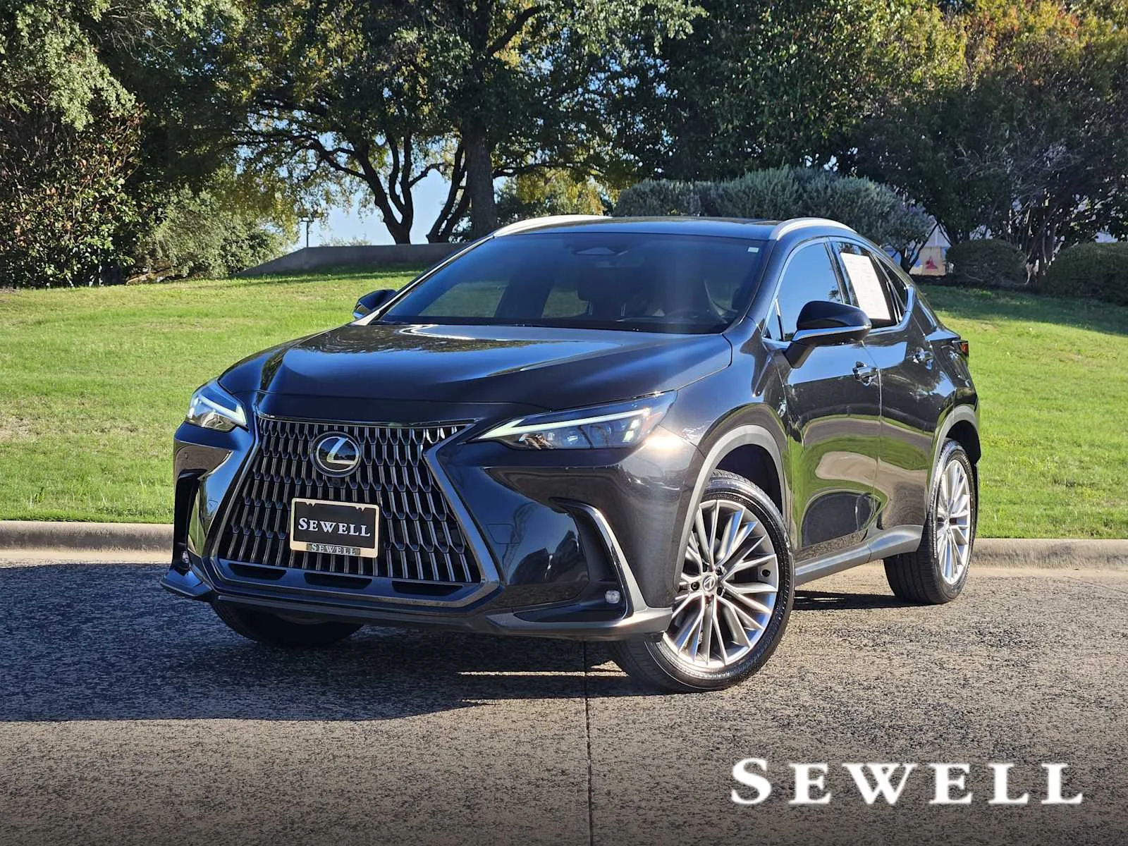 2025 Lexus NX