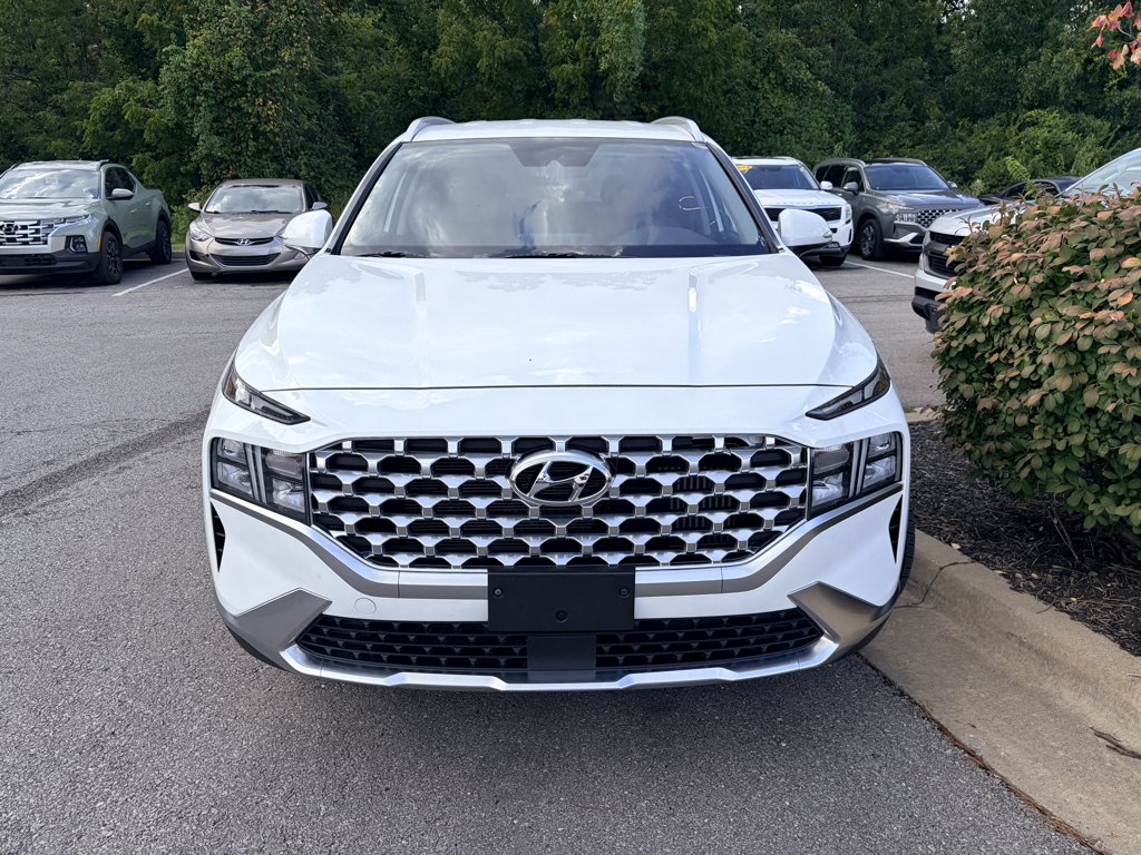 Used 2023 Serenity White Pearl Hyundai SEL Convenience image 7