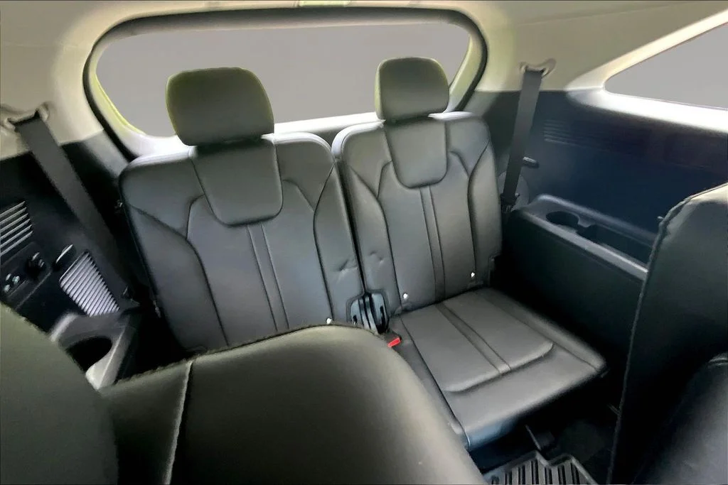 Certified Used 2025 Panthera Metal Kia EX image 25