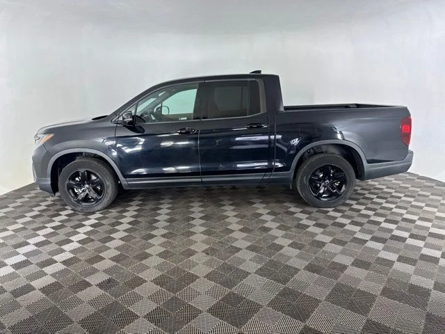 Used 2021  Honda Black Edition image 10