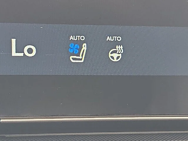 New 2026 Iridium Lexus PREMIUM image 18