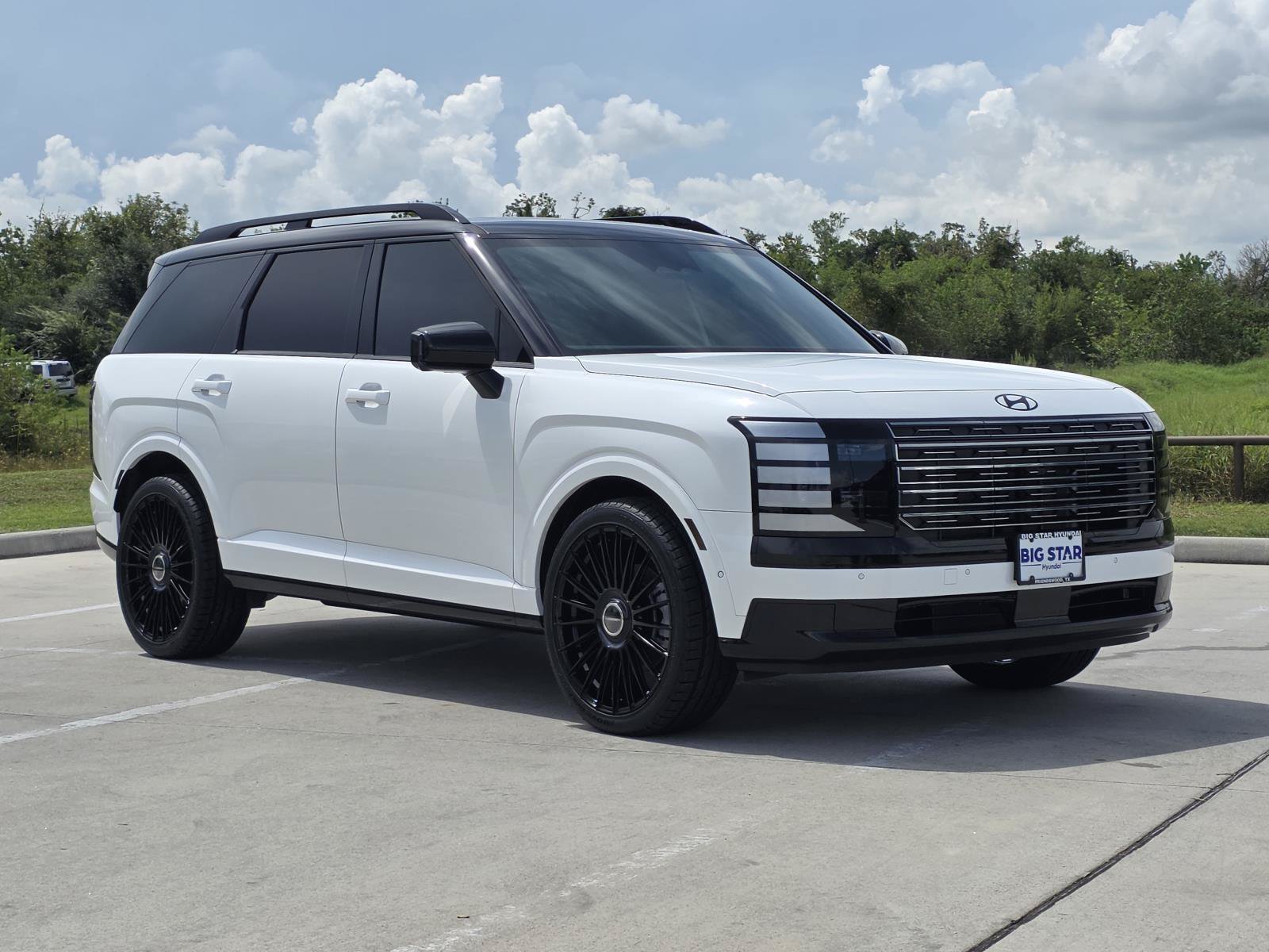 2026 Hyundai Palisade Calligraphy - Photo 6
