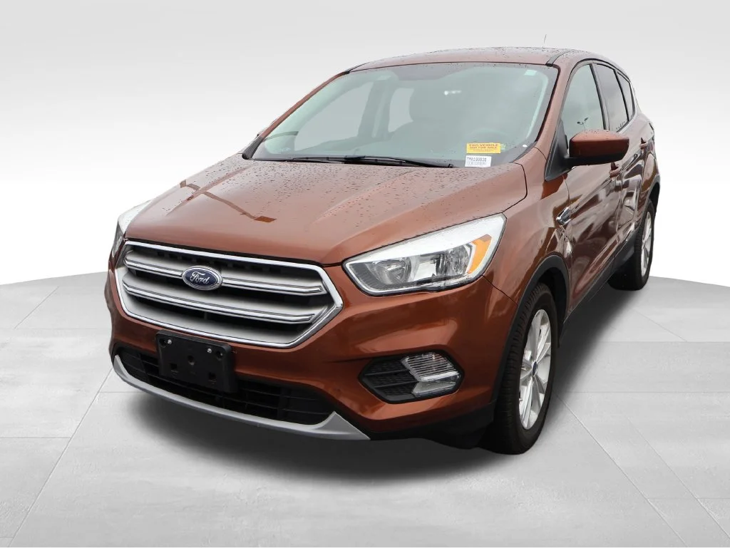 Used 2017 Canyon Ridge Metallic Ford SE image 2