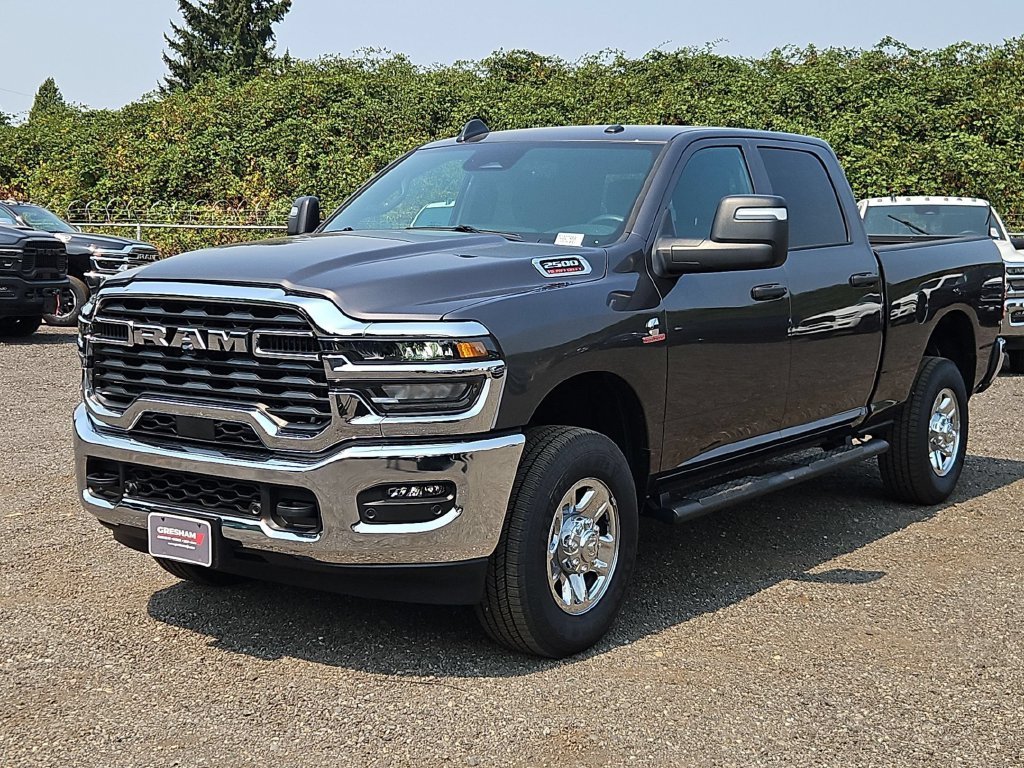 New 2026 Granite Crystal Metallic Clear-Coat Exterior Paint RAM Tradesman image 3