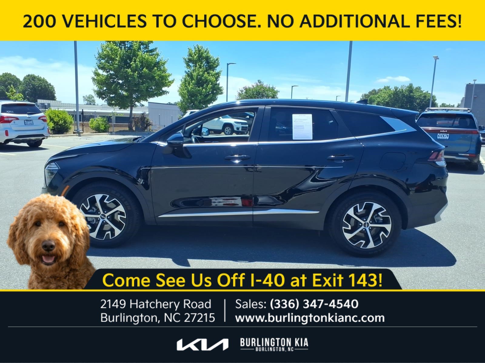 Certified Used 2024 Ebony Black Kia EX image 22