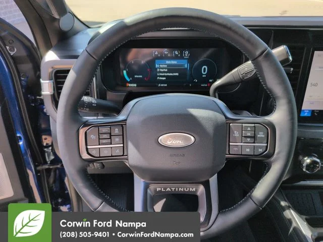 New 2026 Argon Blue Metallic Ford Platinum image 14