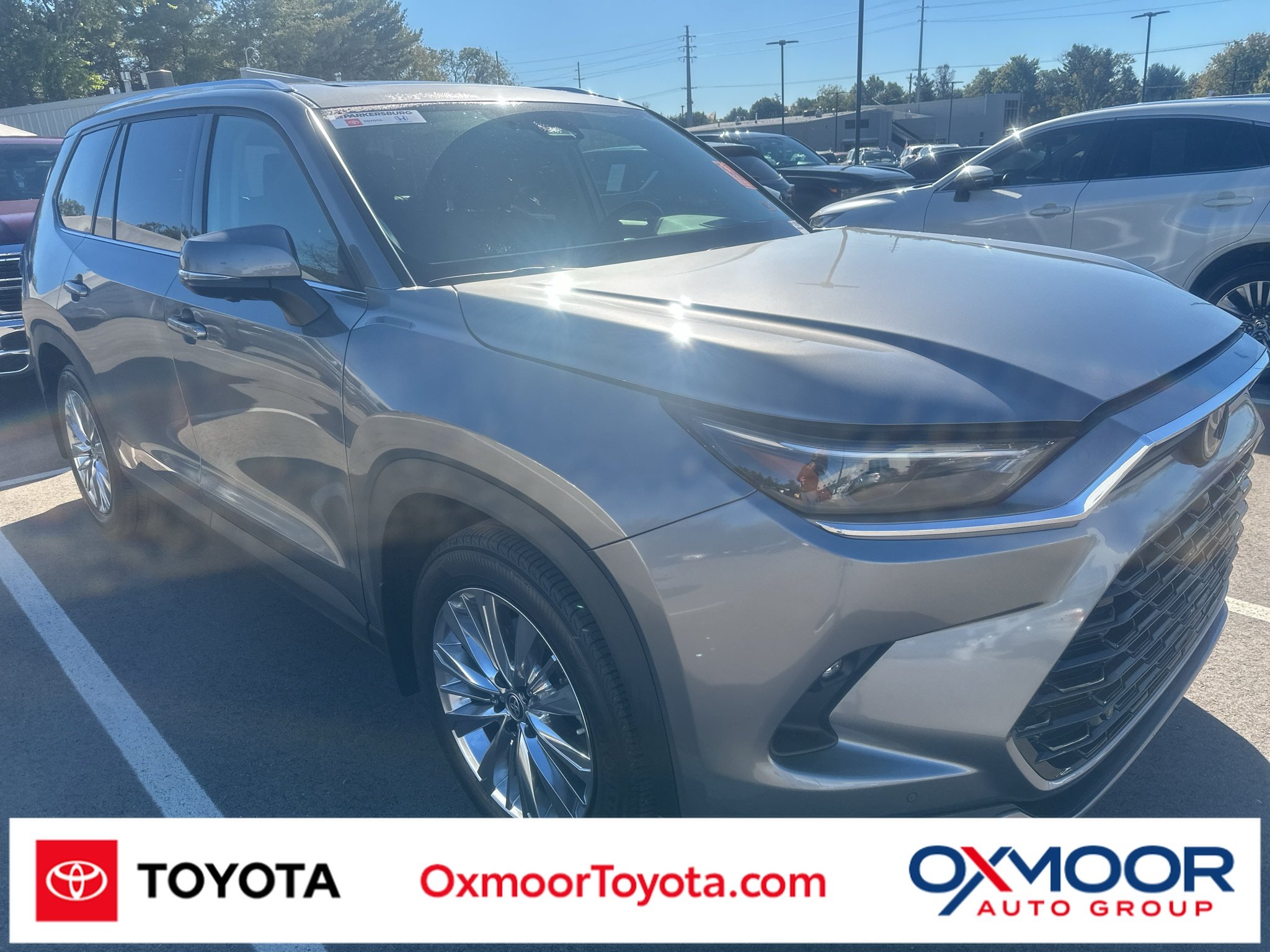 Used 2025 Heavy Metal Toyota Platinum image 1