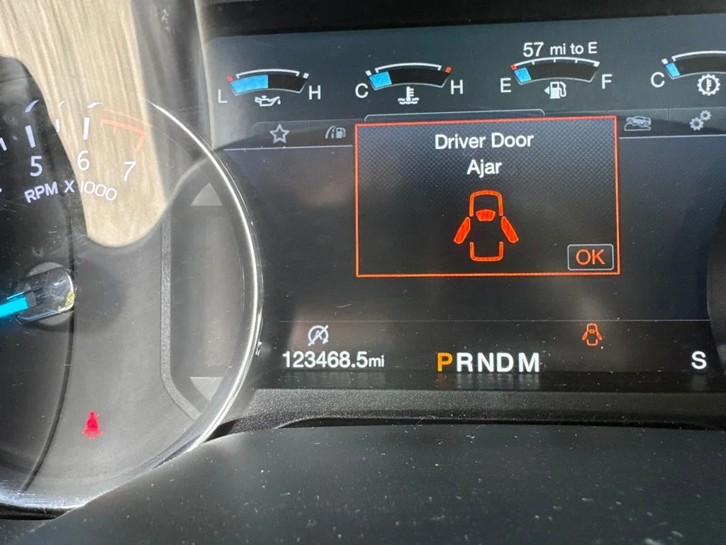 Used 2019 Magnetic Ford Limited image 13