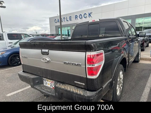 Used 2014 Brown Ford Platinum image 5