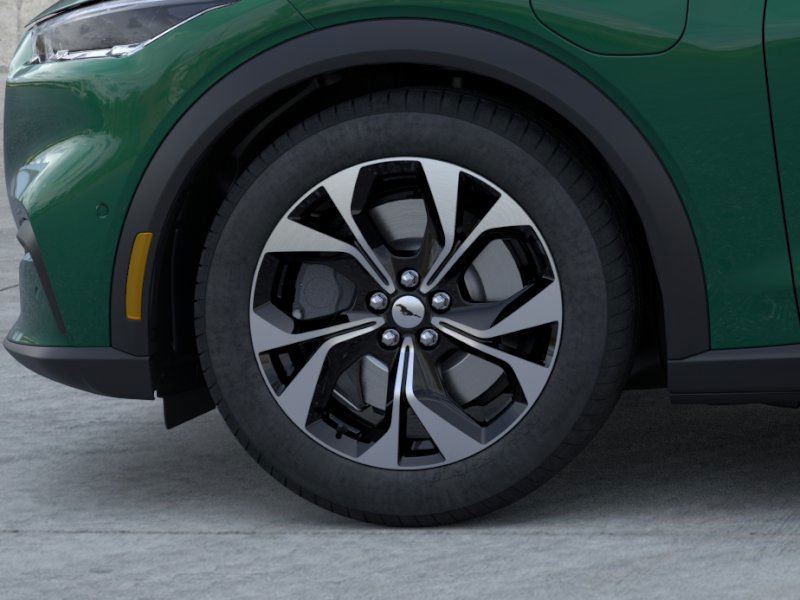 New 2024 Eruption Green Metallic Ford Select image 41