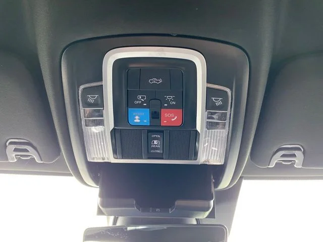 Used 2025 Gray Ram Limited image 19