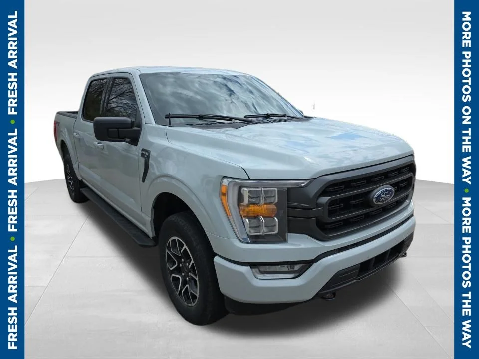 2023 Ford F-150 XLT 4x4 SuperCrew 5-1/2 Box's photo