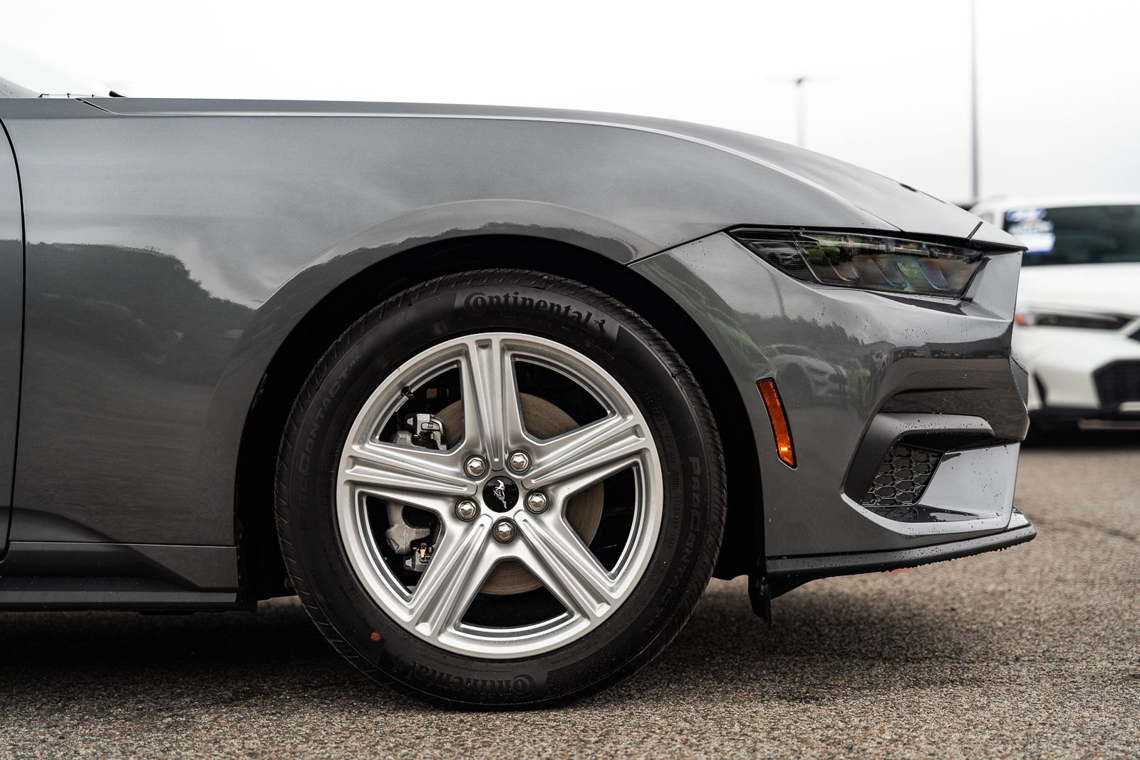 New 2026 Carbonized Gray Metallic Ford EcoBoost® Fastback image 5