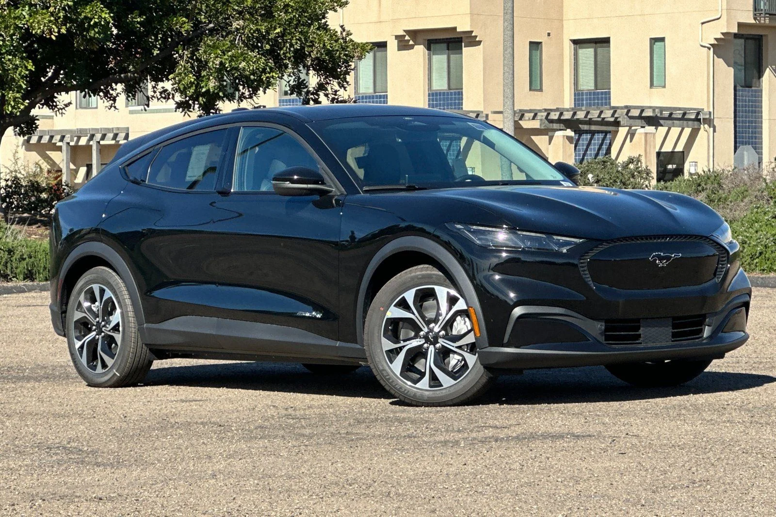New 2026 Shadow Black Ford Select image 1