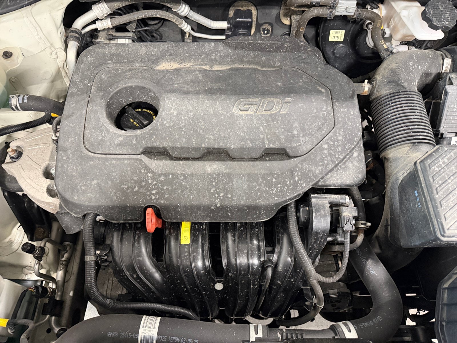 Used 2020 Snow White Pearl Kia S image 7