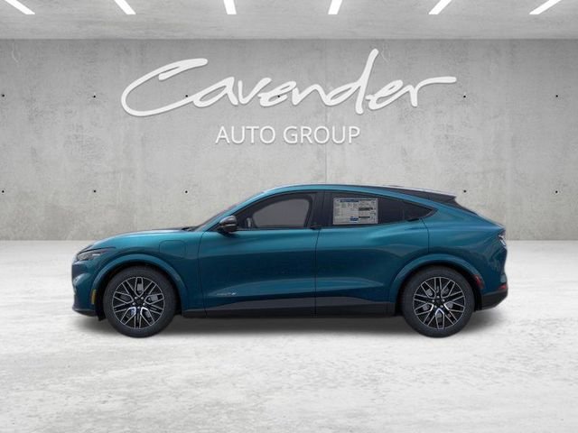 New 2026 Adriatic Blue Metallic Ford Premium image 4