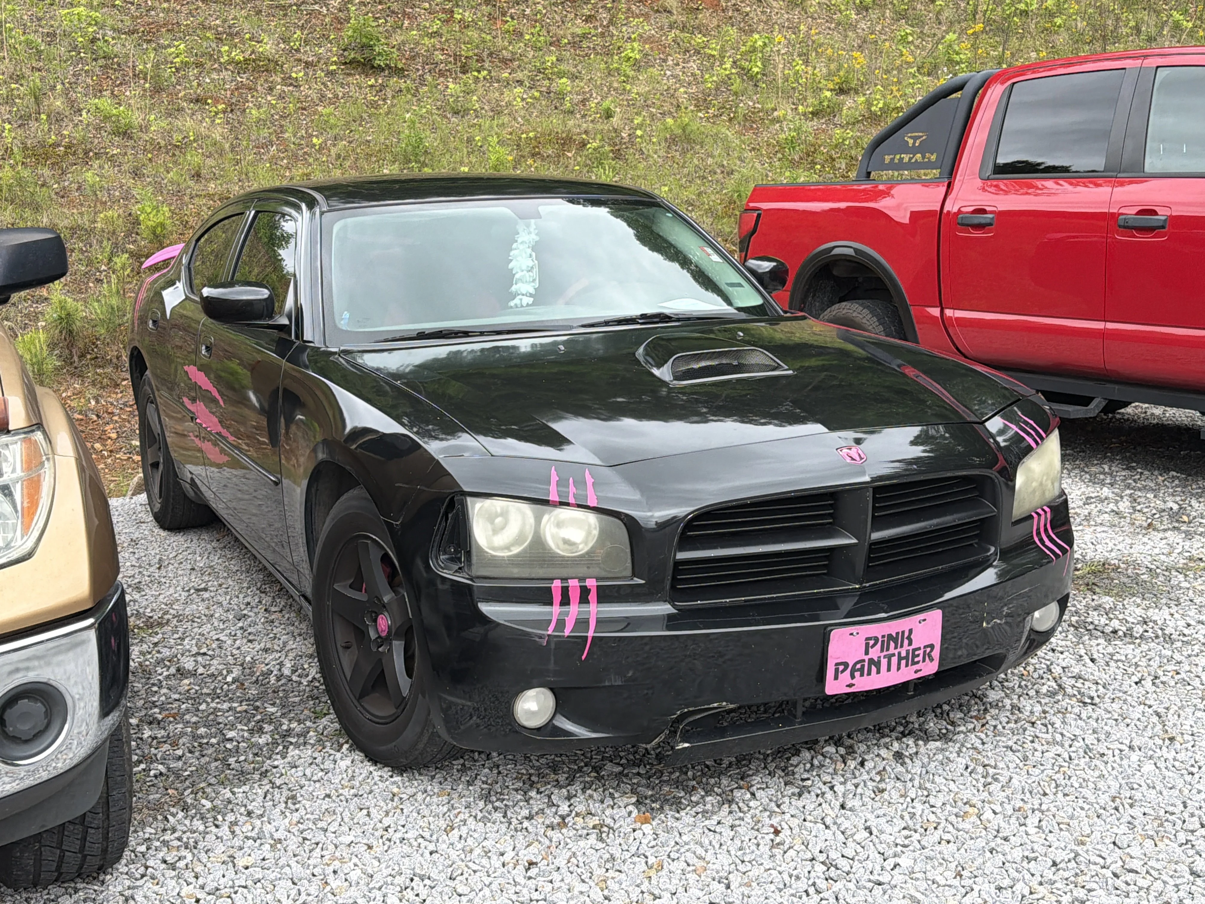 2010 Dodge Charger SXT's photo