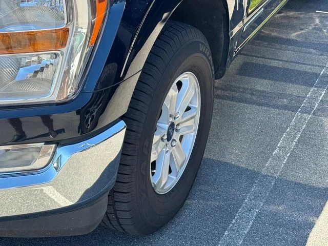 Used 2022 Blue Ford XLT image 6