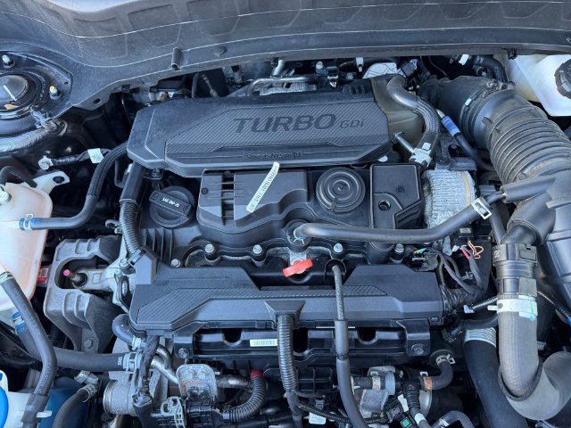 Used 2024 Black Kia SX image 7