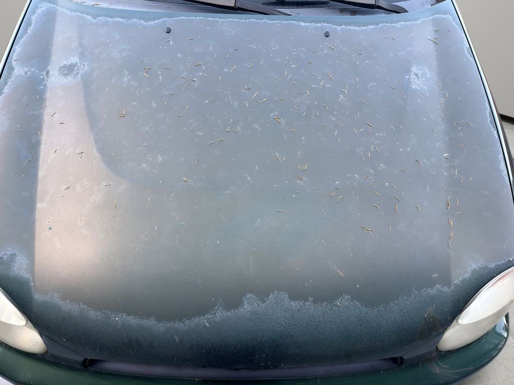 Used 2002 Green Subaru TS image 6