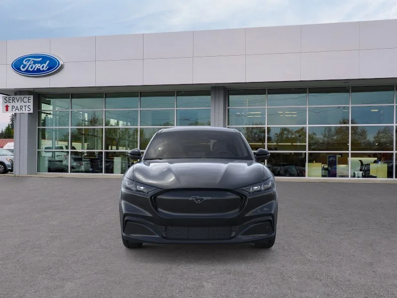 New 2026 Shadow Black Ford Premium image 30