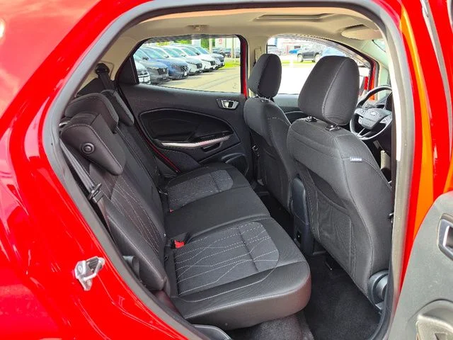 Used 2019 Race Red Ford SE image 14