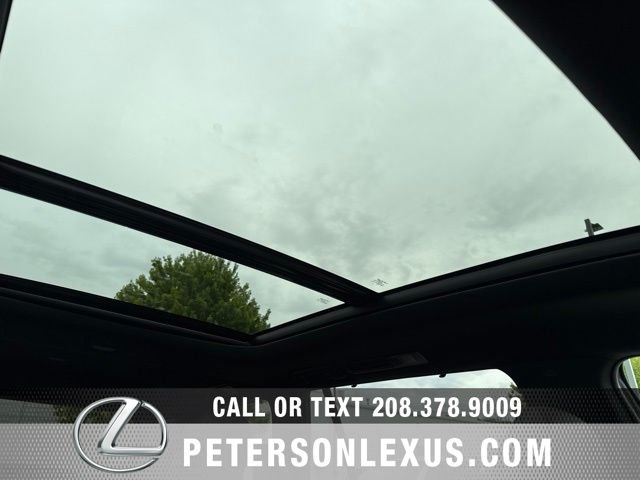 Used 2026 Red Lexus Premium image 13
