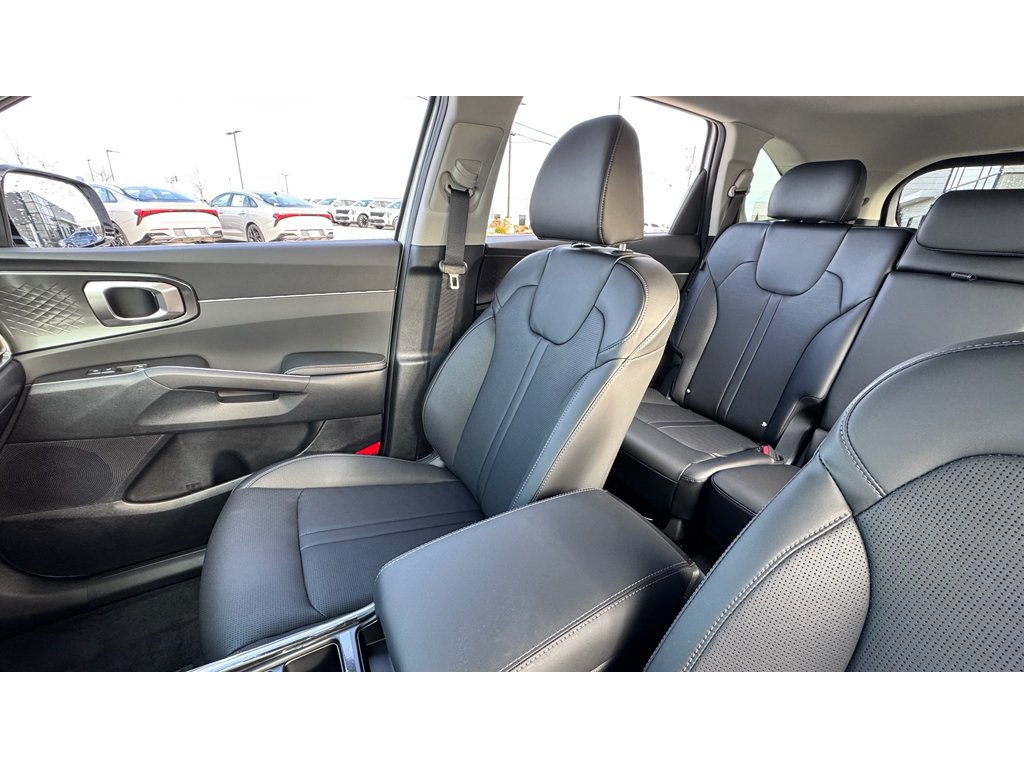 New 2026 Glacial White Pearl Kia S image 9