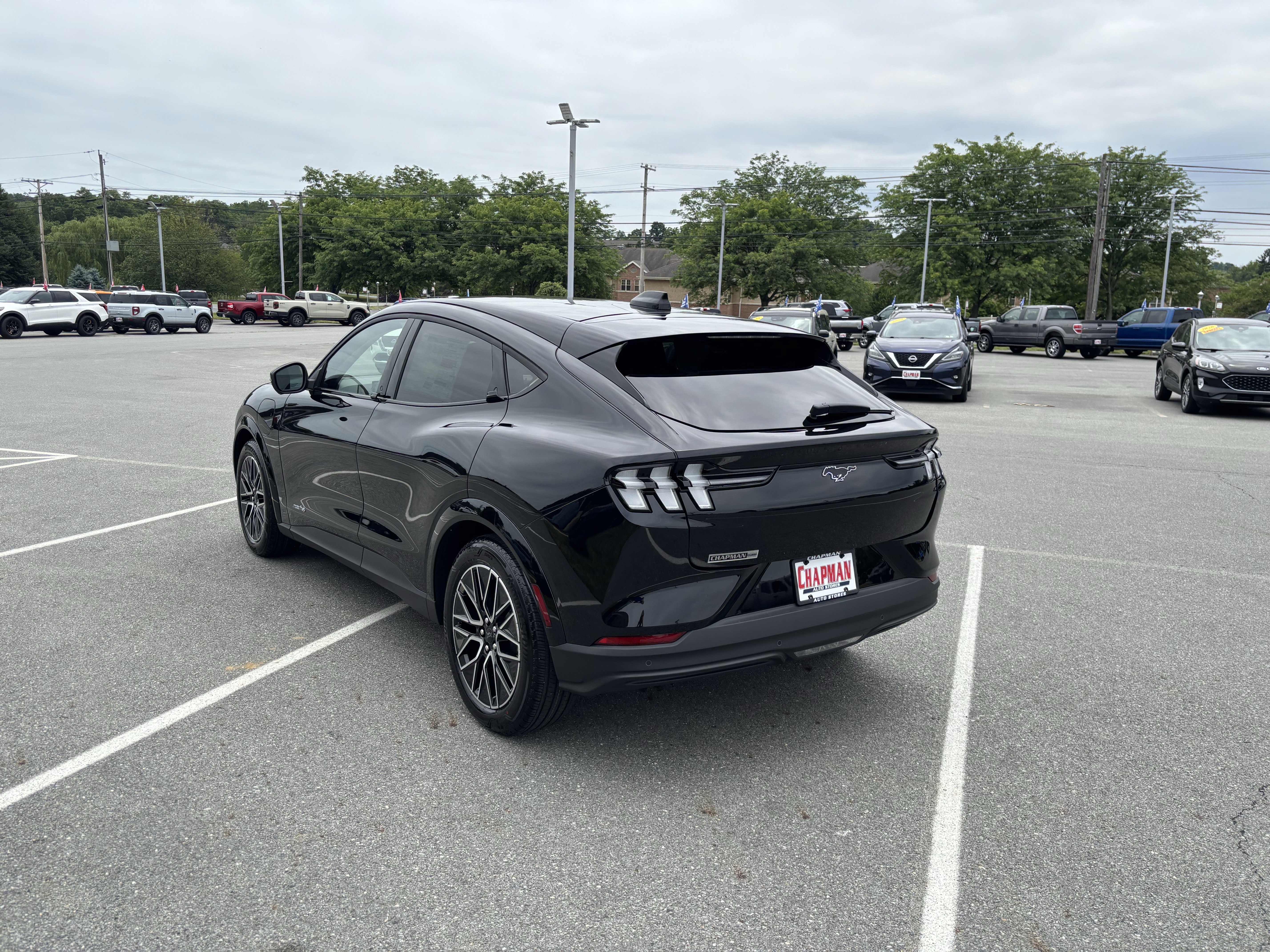 New 2026 Shadow Black Ford Premium image 4
